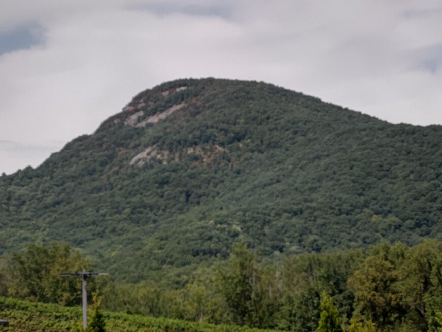 Yonah Mountain Vineyards-Cleveland必去景点