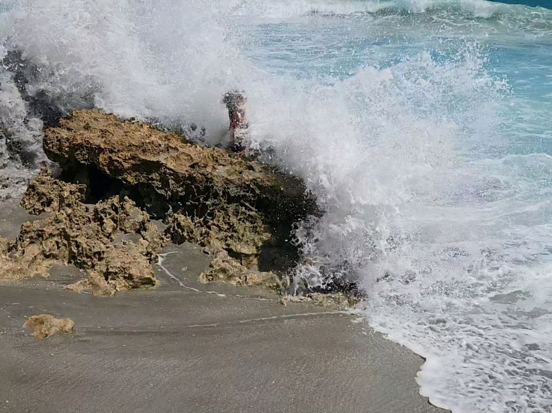 Blowing Rocks Nature Preserve-朱庇特必去景点