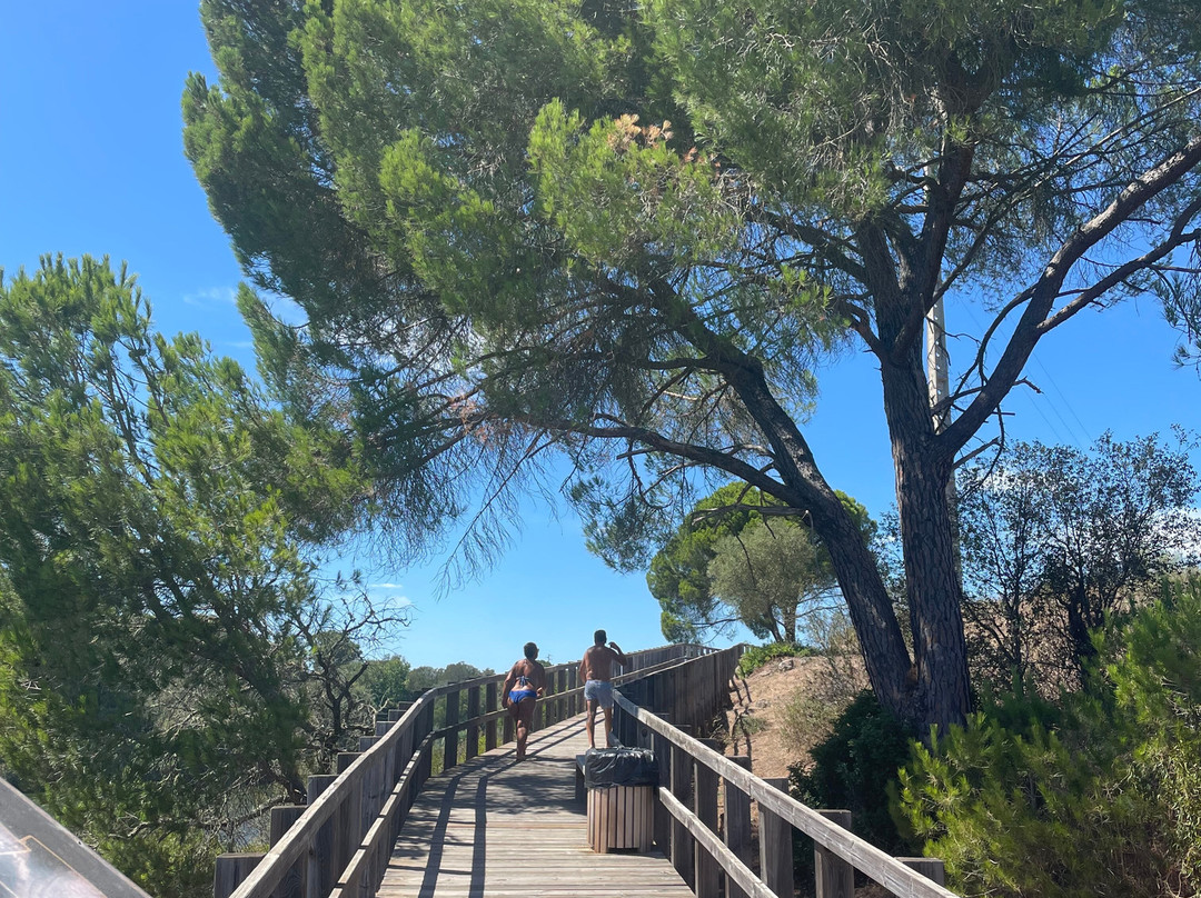 Praia Fluvial de Mourão景点图片