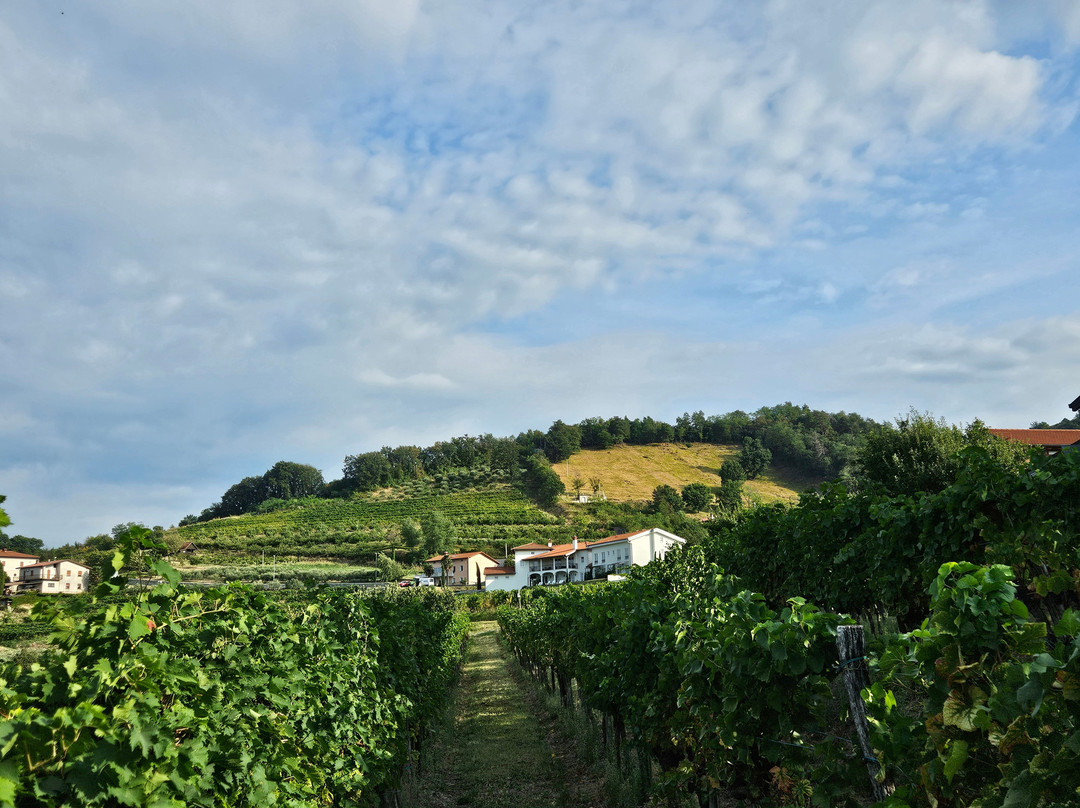 Peterc Vineyard Estate-Kojsko必去景点