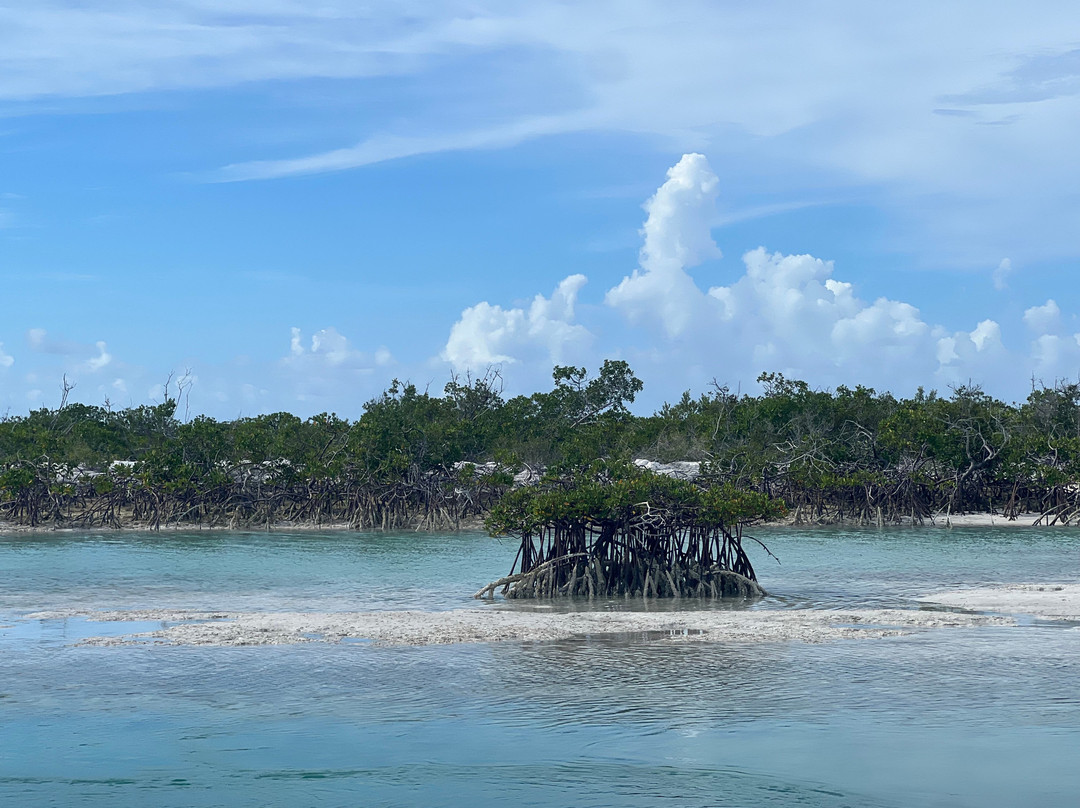 Bahamas Discovery Quest-长岛必去景点