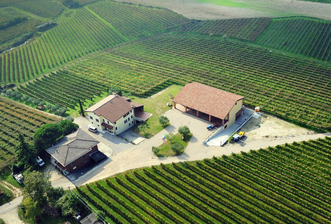 Cantina Il Pignetto景点图片