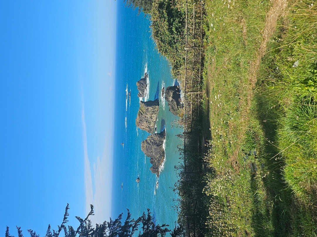 Arch Rock Picnic Area景点图片