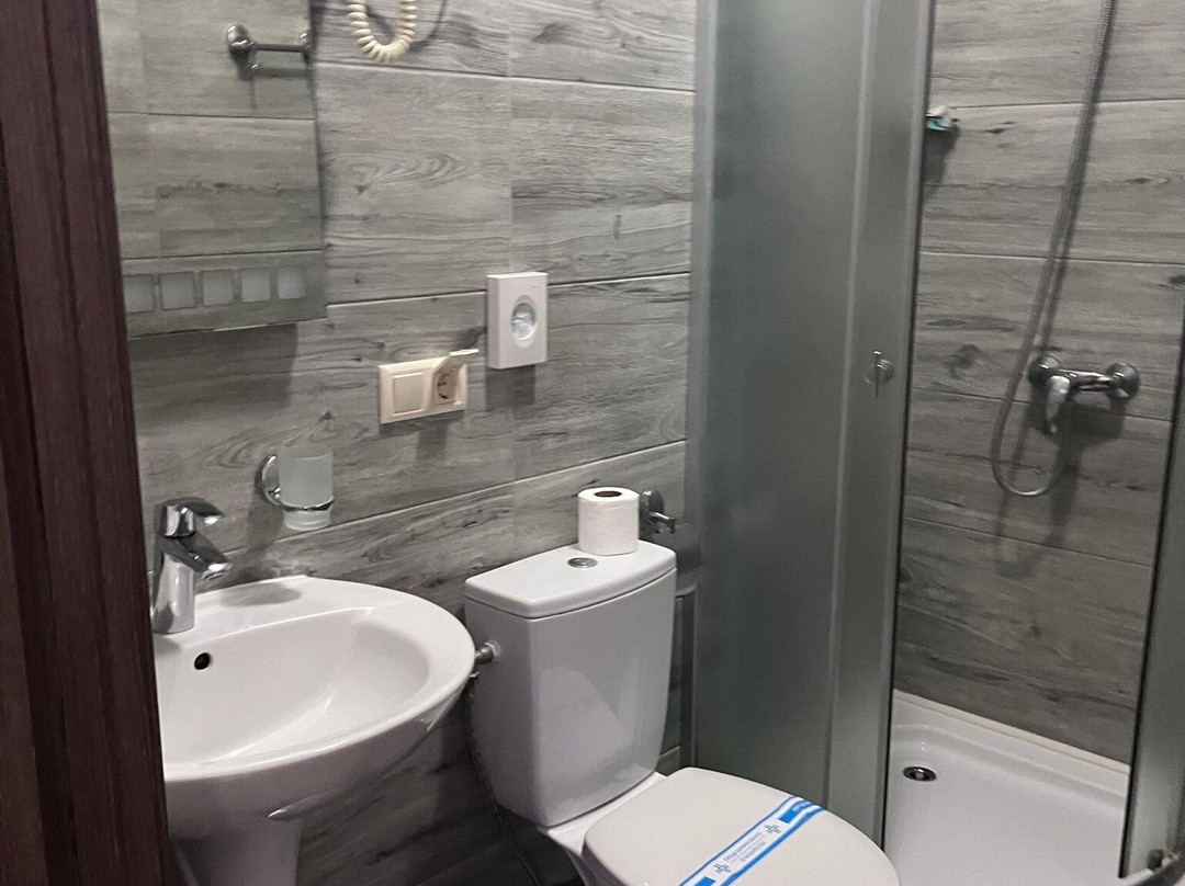 Centralnyi Hotel主图