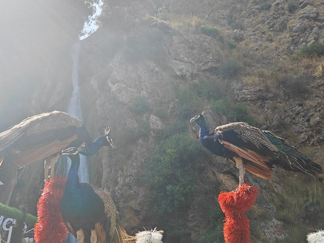 Cascades Kefrida景点图片