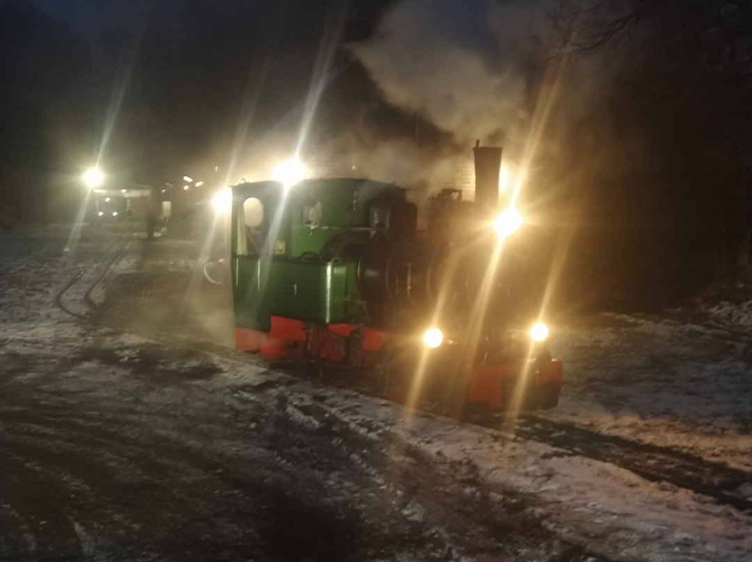 Deutsches Feld- und Kleinbahnmuseum-Deinste必去景点