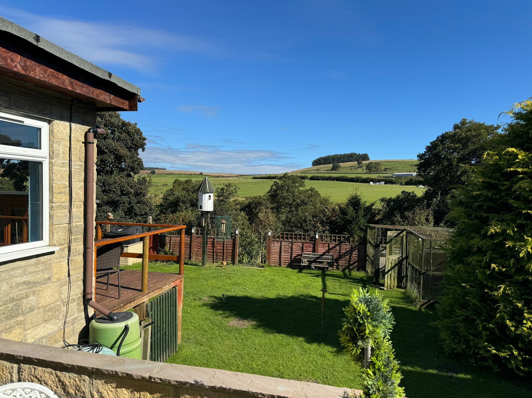 The Dolphins Guest House Bed & Breakfast主图