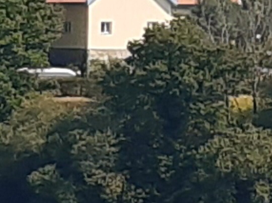 Padroes Guest House's主图