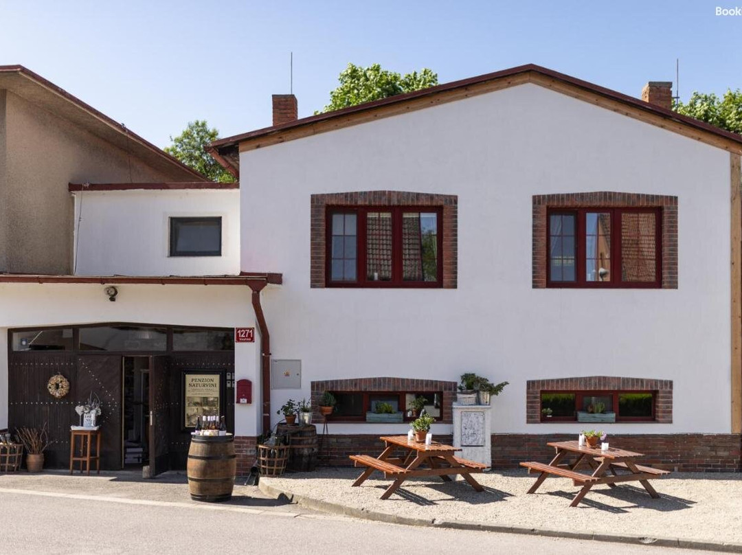 Penzion a vinařství Naturvini