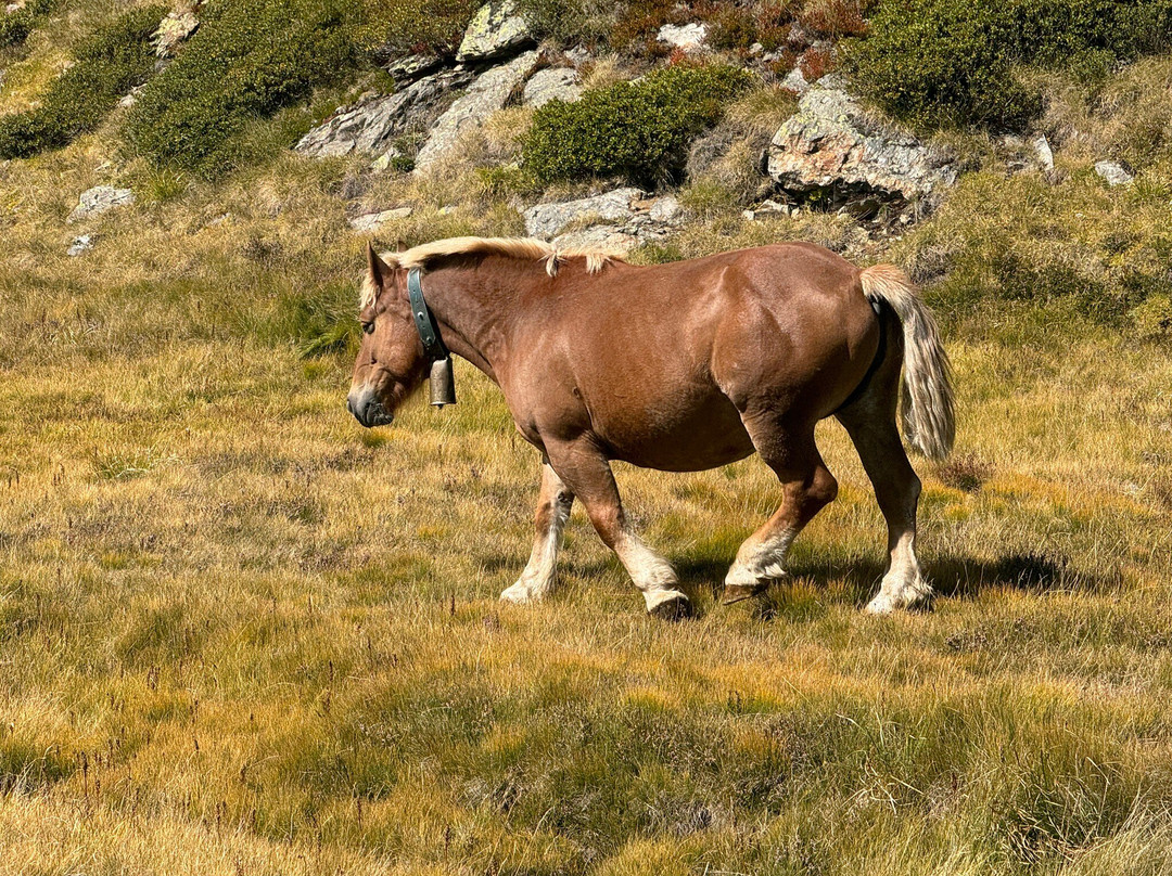 Ruta Verdaguer - Estany de Creussans-阿林萨尔必去景点