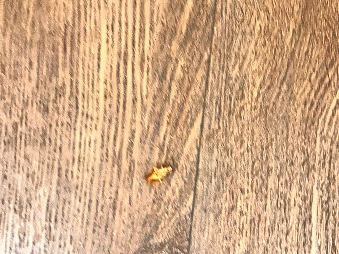 Comfort Inn & Suites Lithia Springs主图