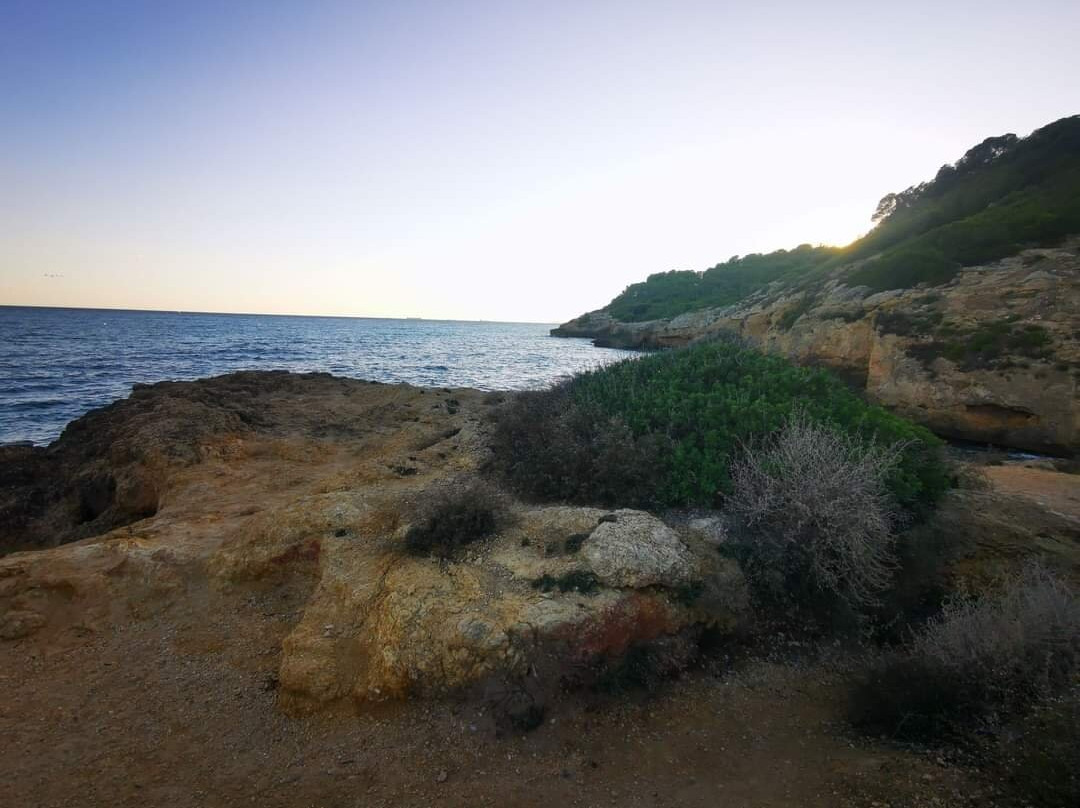 Platja d'Altafulla景点图片