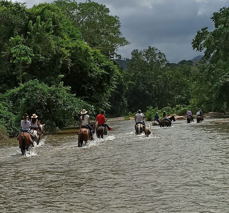 Cabalgatas En Palomino La Mello景点图片