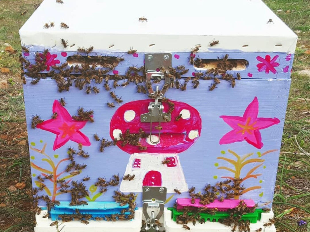 So! Bee-纳夫普利翁必去景点