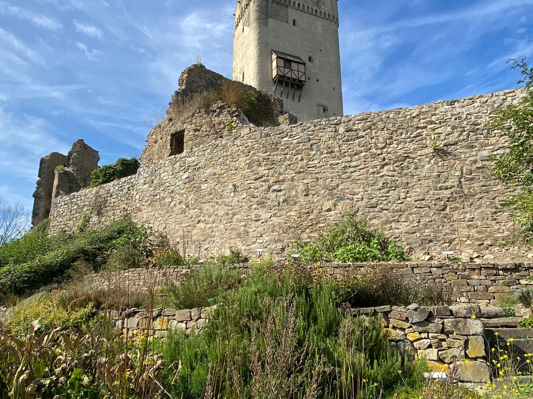 Castle Olbrück景点图片