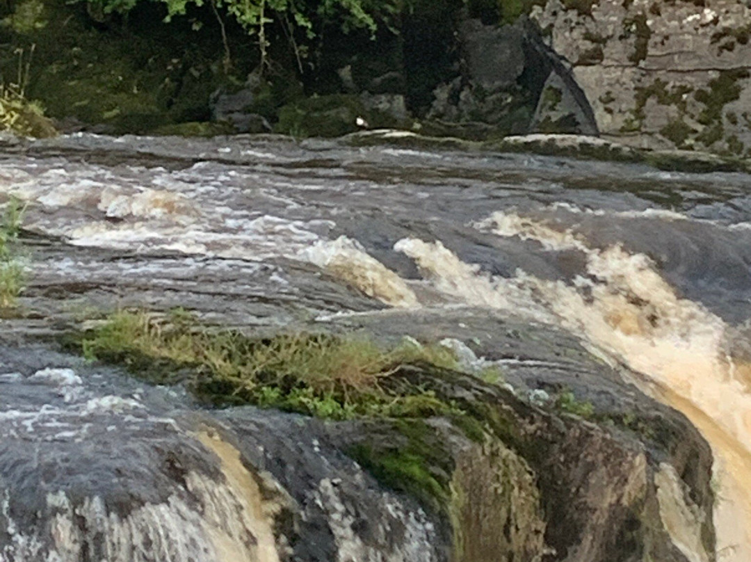 Cenarth Falls景点图片