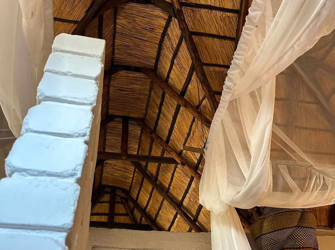 Africa On Foot Camp主图