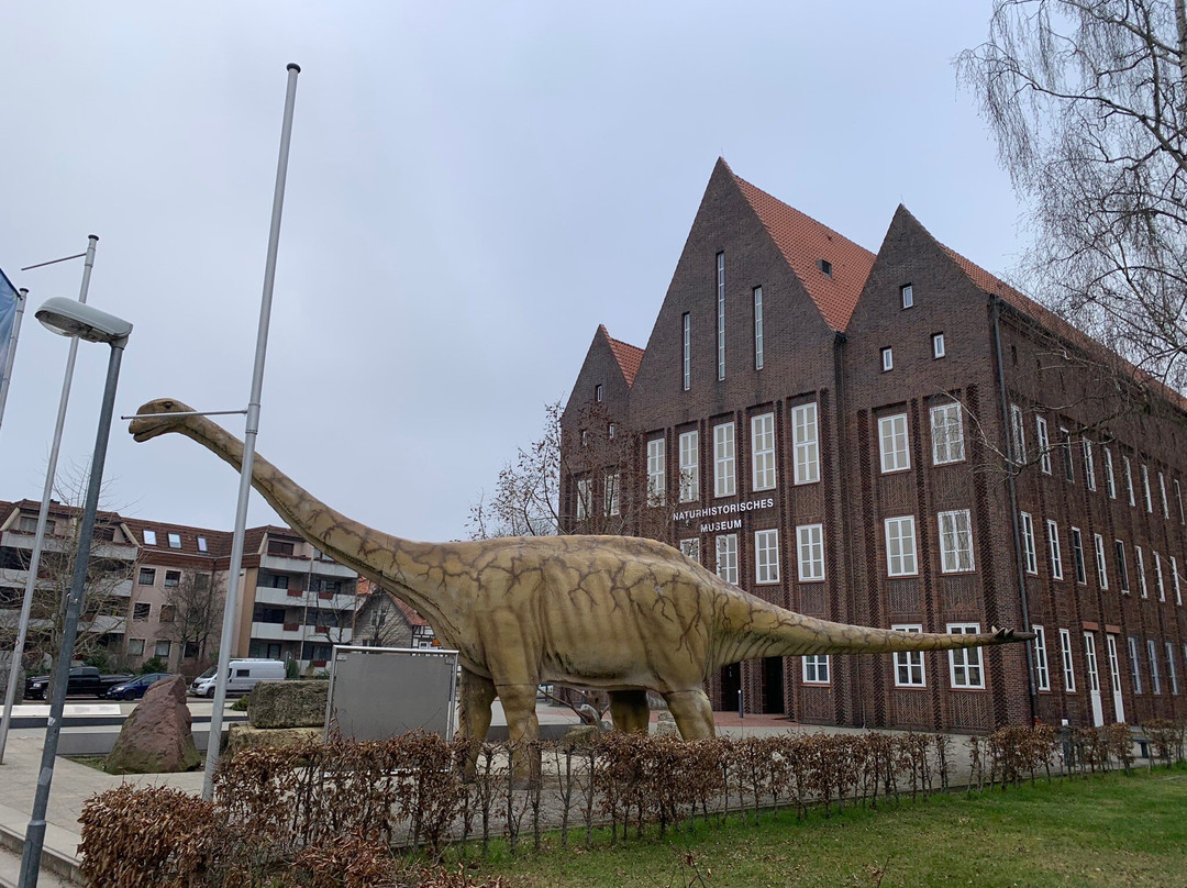 Staatliches Naturhistorisches Museum-布伦瑞克必去景点