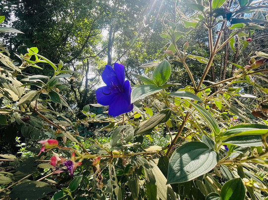 OZZY TOURS AND TRAVELS-甘托克必去景点