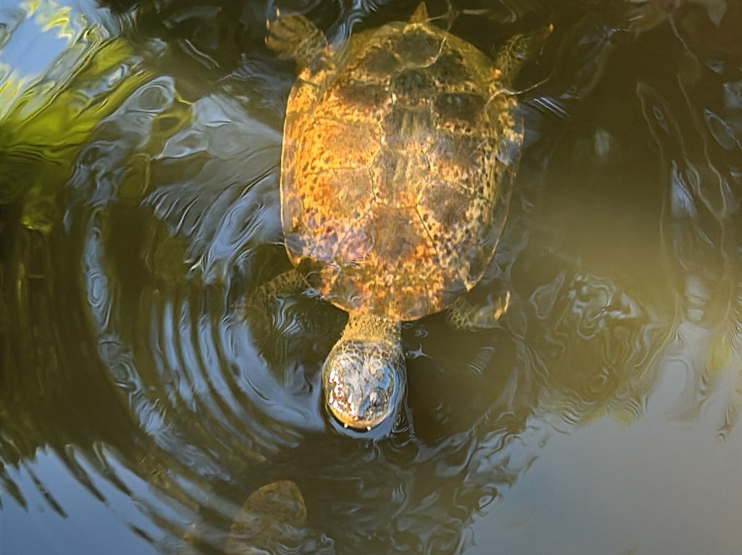 Hotel Deville Prime Salvador主图