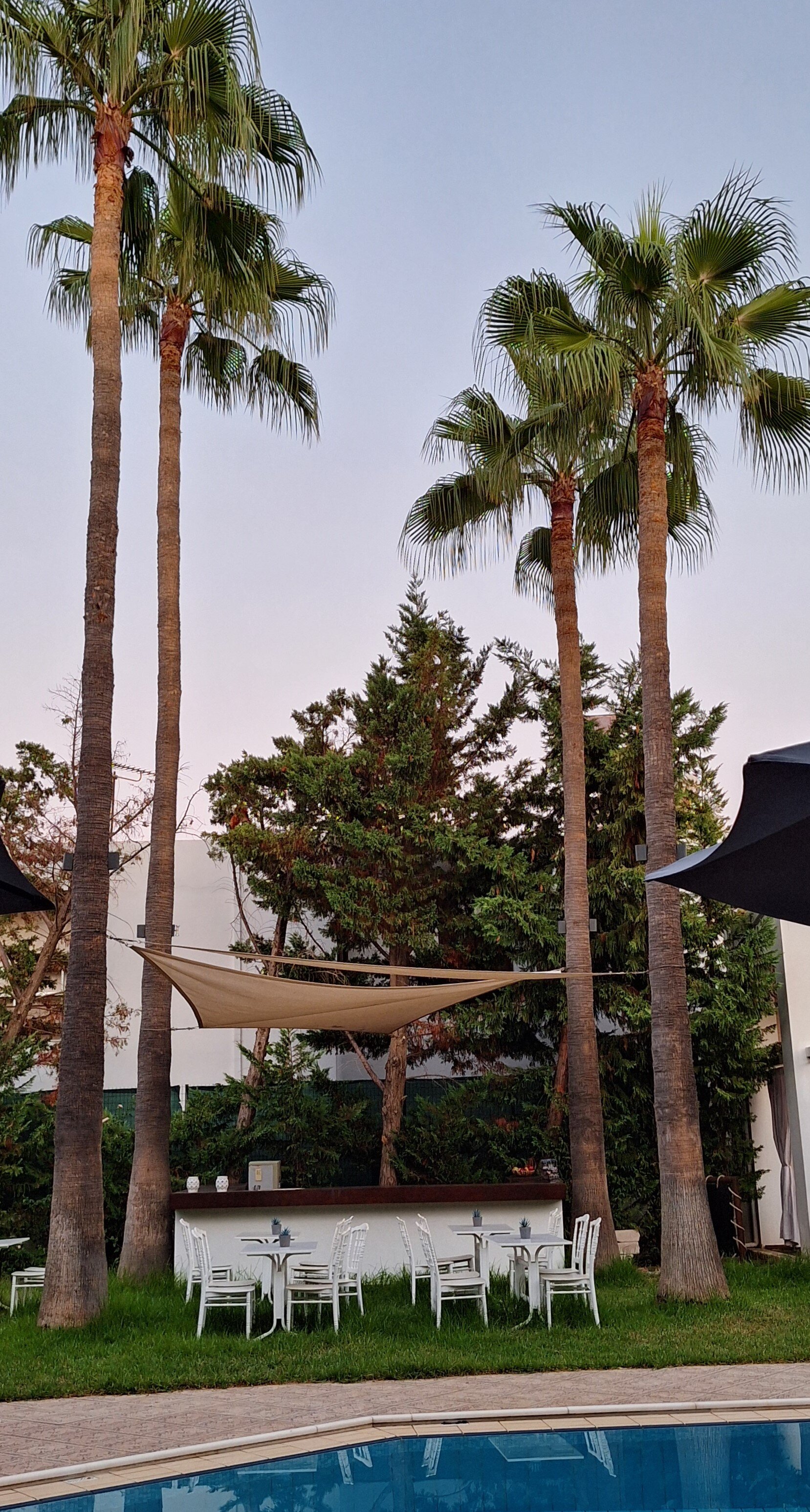 Elizabeth Suites-泳池