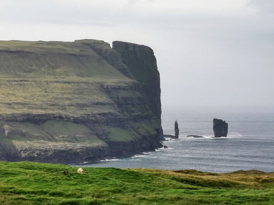 The Nordic House-托沙文必去景点
