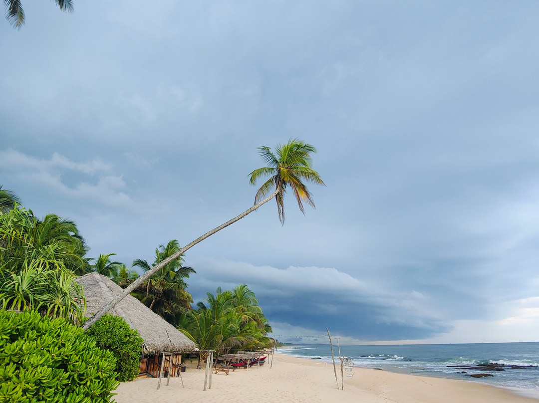 Marakolliya Beach Resort主图