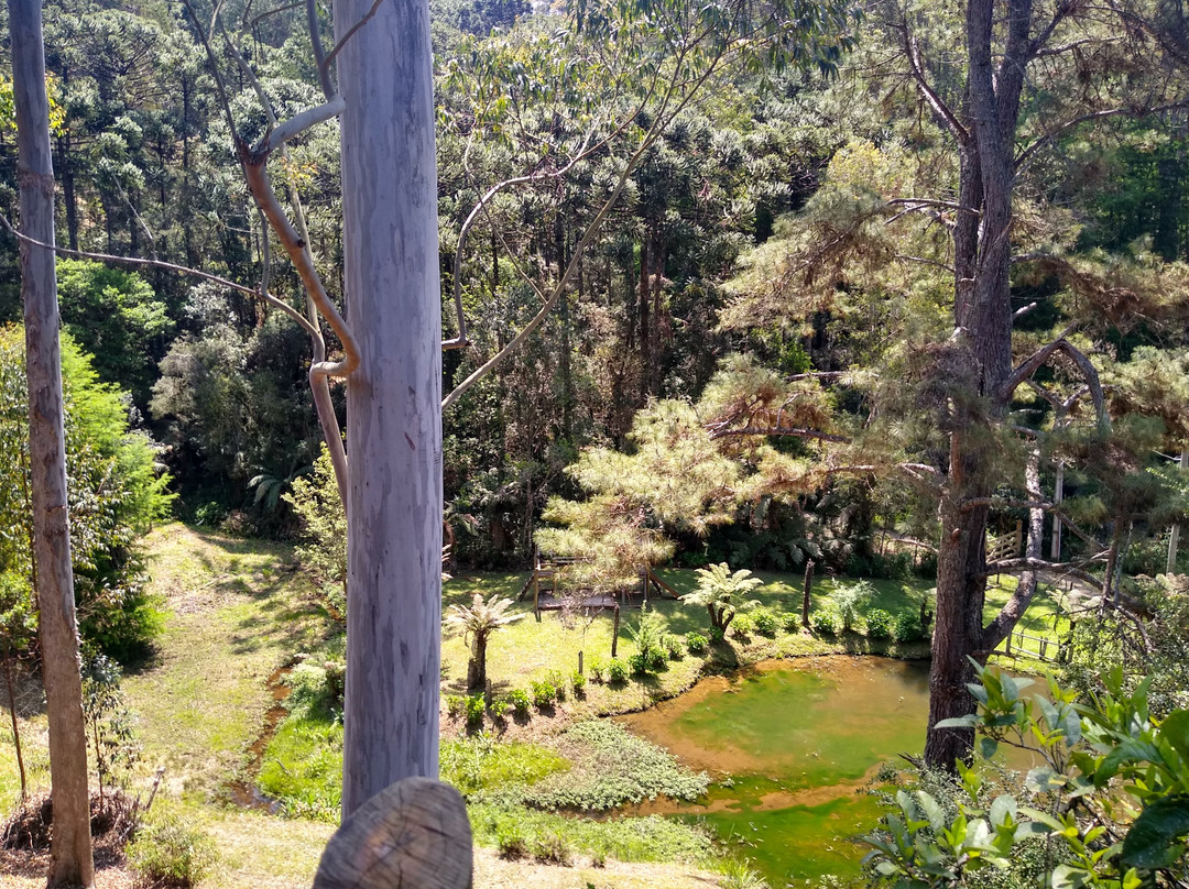 Trilha das Corredeiras do Itapuá-蒙特贝尔德必去景点