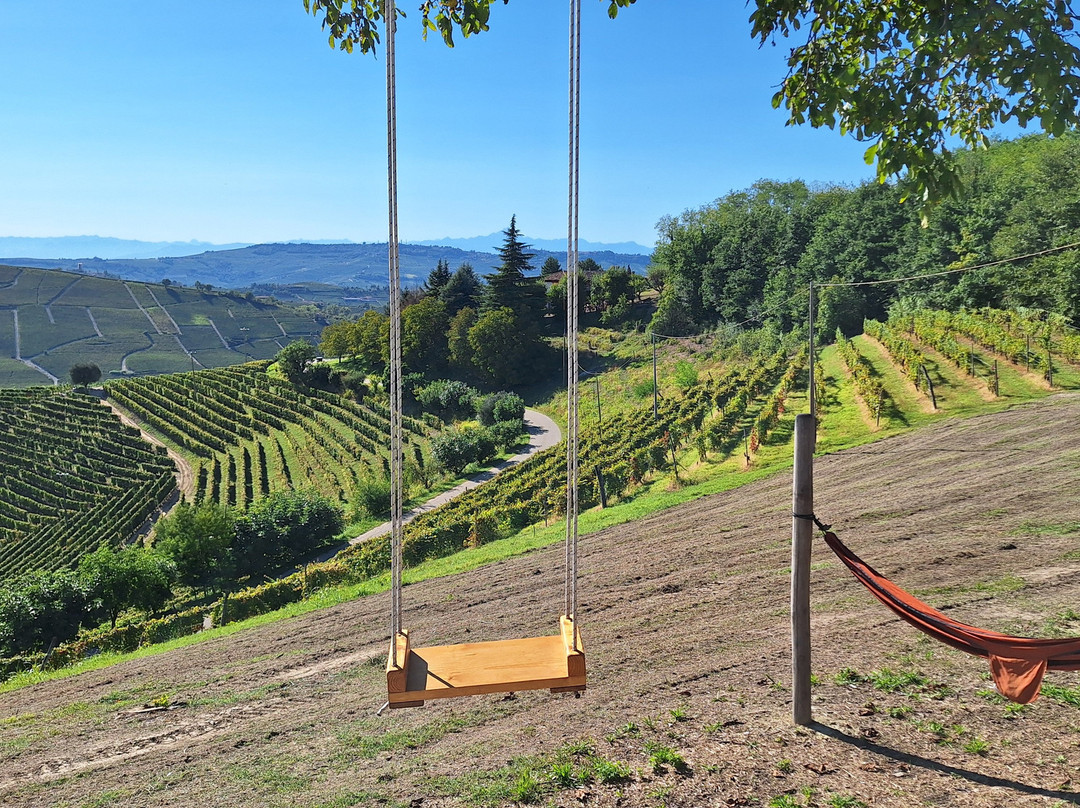 Azienda Agricola Fratelli Savigliano景点图片