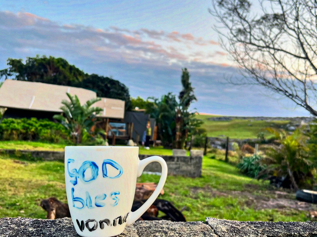 The Wild Walk with Singletrack Adventures-Mbotyi必去景点