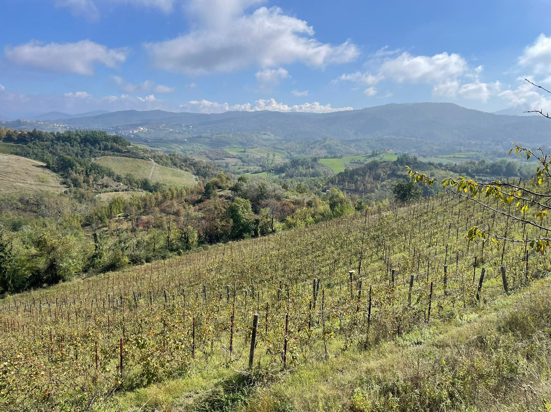 Azienda Agricola Cascina Belvedere 1932-Mornese必去景点