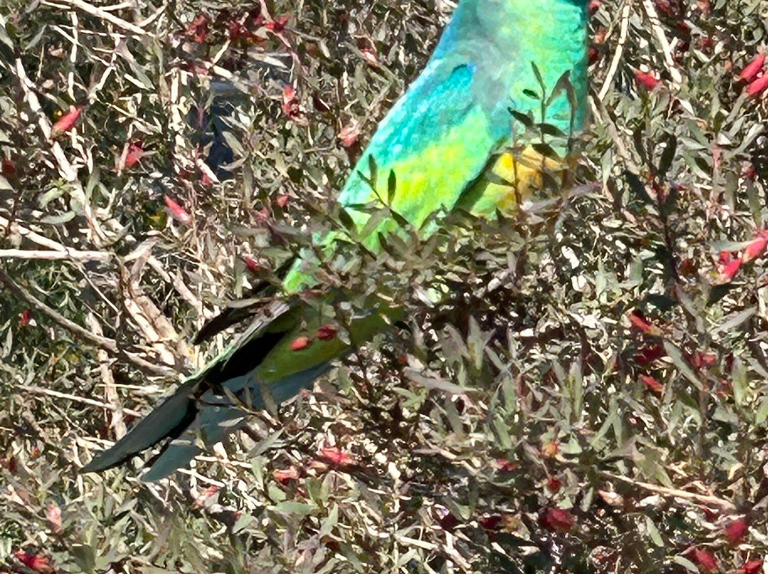 North Blinman Hotel主图