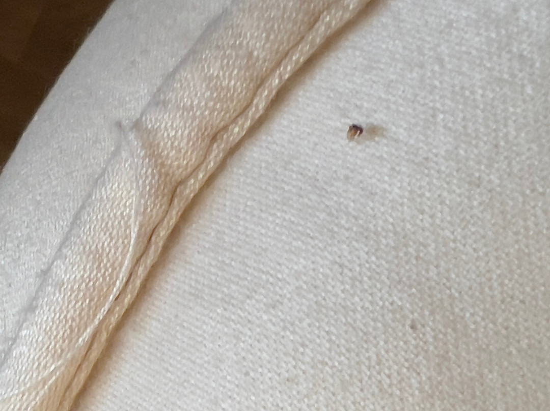 Tower Hotel Apartments主图