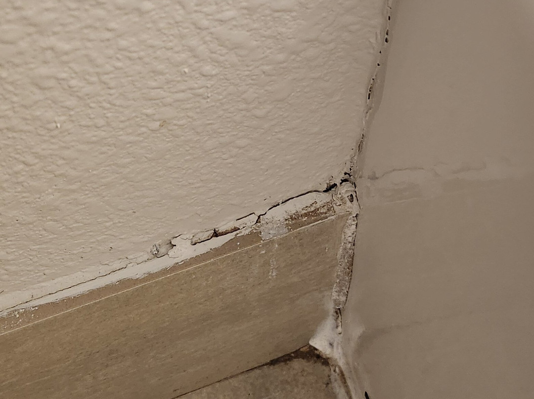 Holiday Inn Express & Suites Denton - Sanger By IHG主图