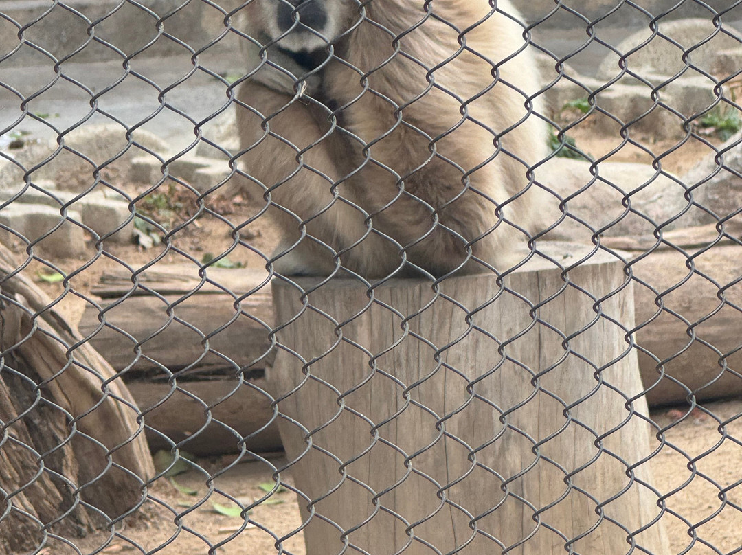 Santa Ana Zoo at Prentice Park-圣安娜必去景点