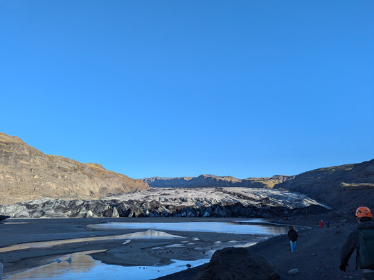 The Grumpy Whale-塞尔福斯必去景点