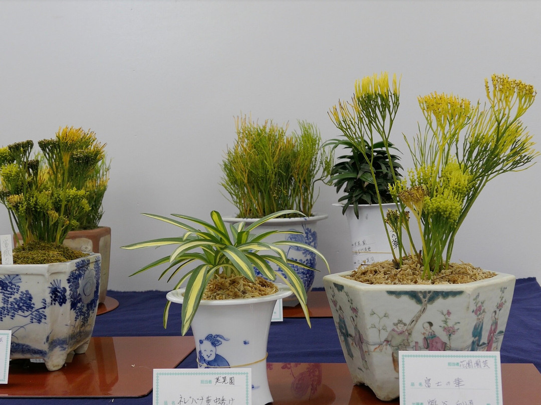 Ueno Green Club-Uenokoen必去景点