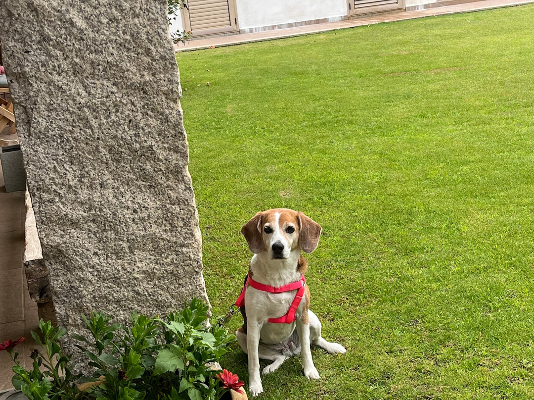 Agriturismo Sa Costa主图