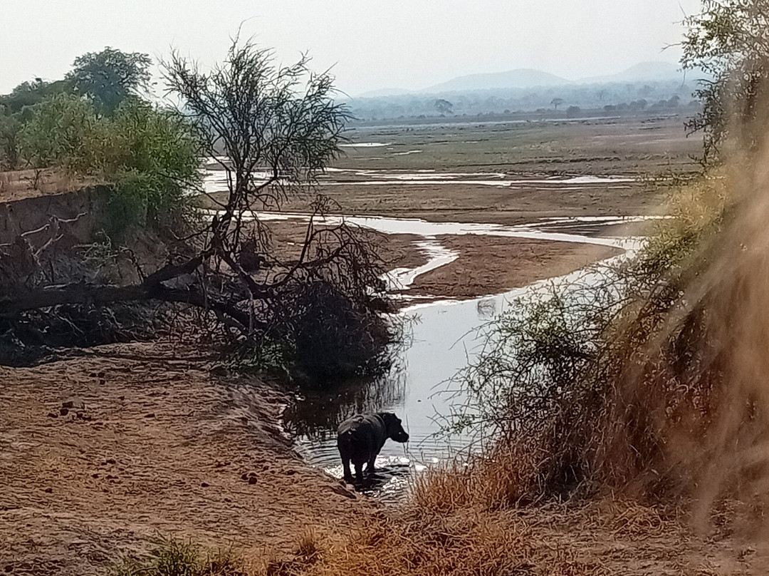 Safari Fleva-Dar es Salaam必去景点