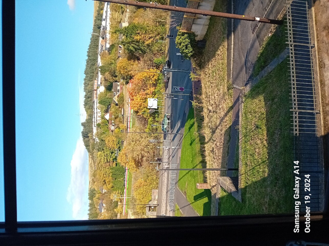 Tredegar旅游攻略图片