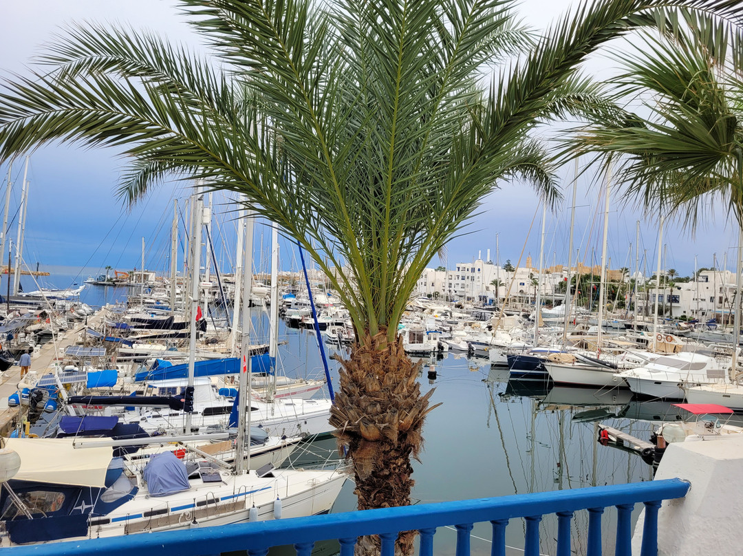 Marina Cap Monastir Appart Hotel主图