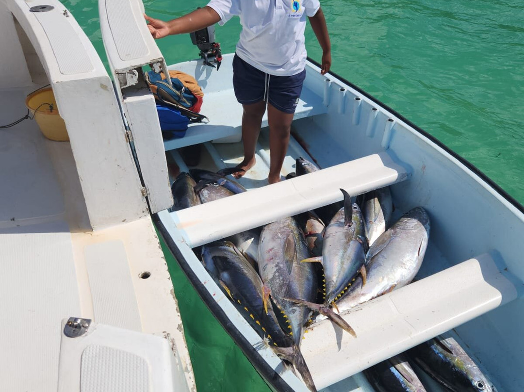 Le Performant Sport Fishing景点图片