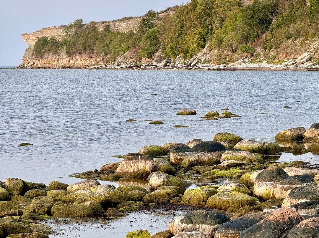 Cape Pakri-Paldiski必去景点