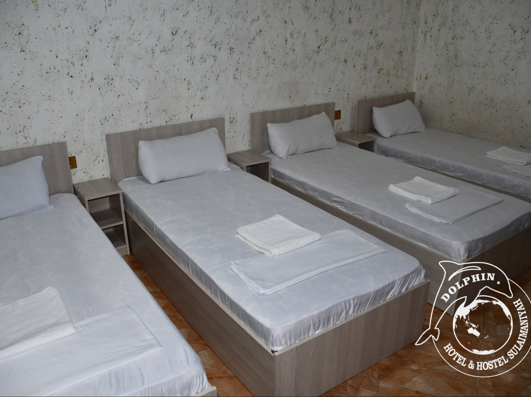 Dolphin Hotel & Hostel主图