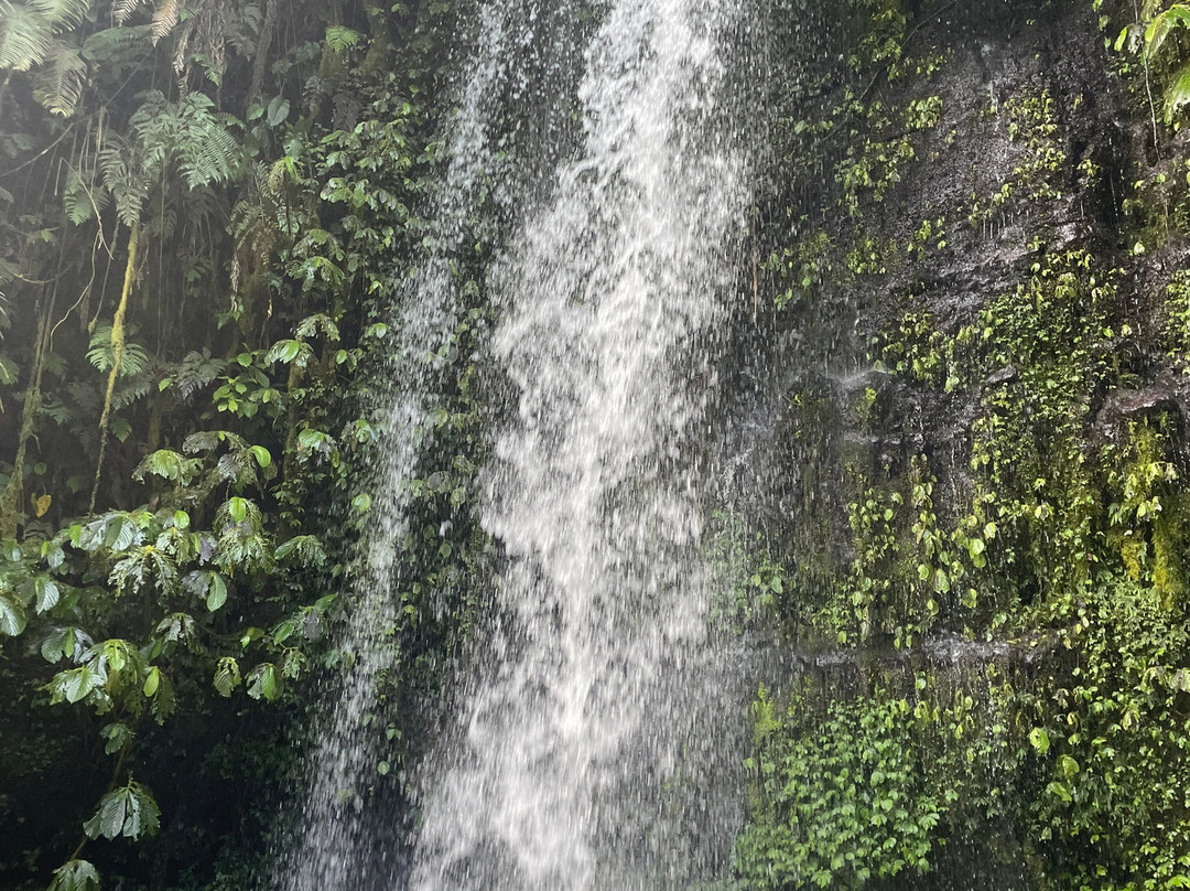 Jhony Gili & Lombok Tours景点图片