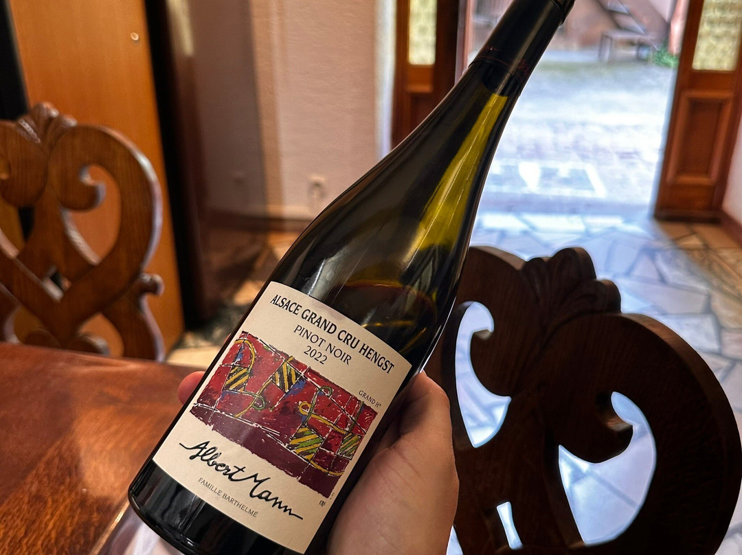 Domaine Albert Mann景点图片