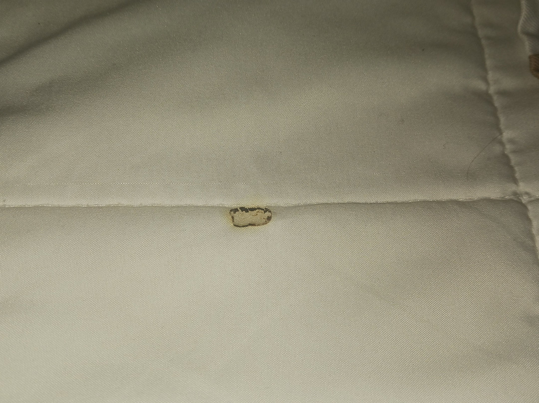 Red Roof Inn Cincinnati East - Beechmont主图