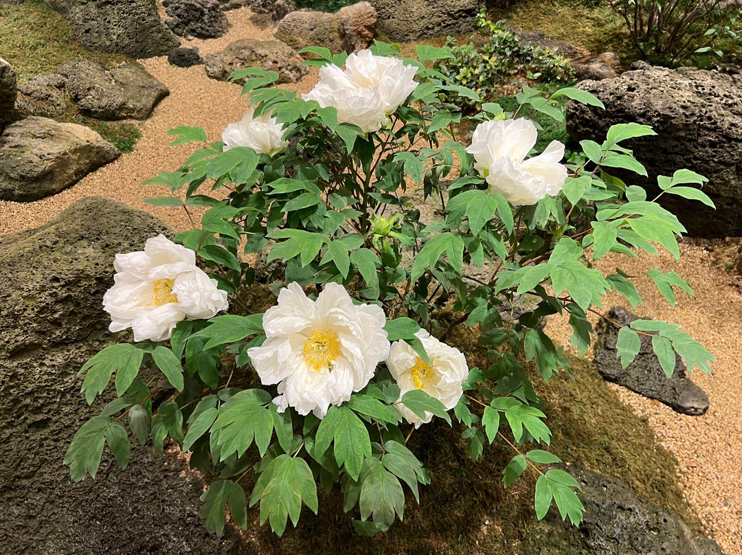 由志園-松江市必去景点