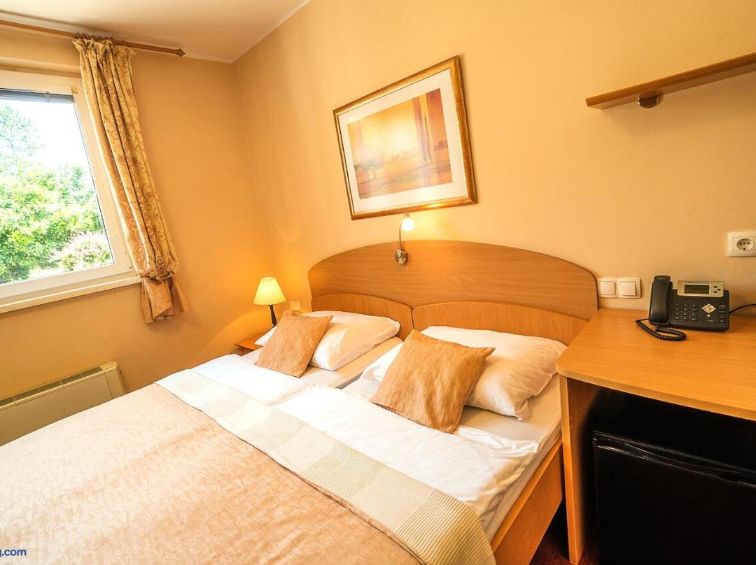 Pivola酒店住宿-Guest House Pri Gondoli