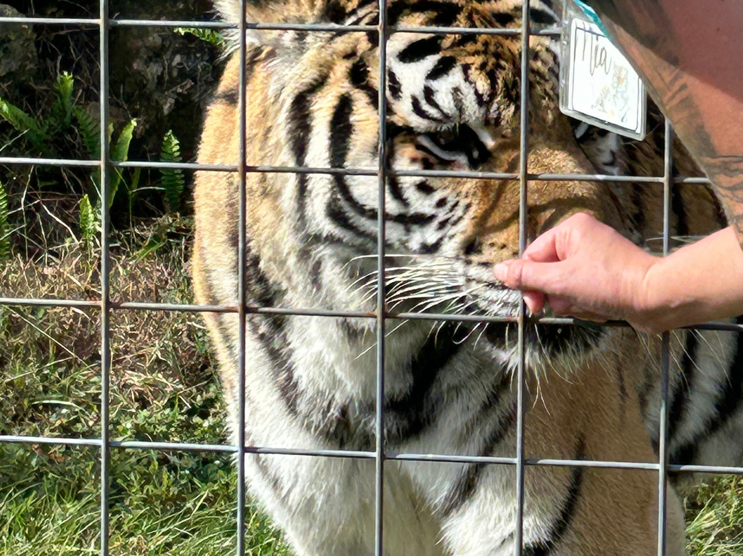 Carson Springs Wildlife Conservation Foundation景点图片